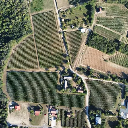 Lelle Vineyard Cottages *